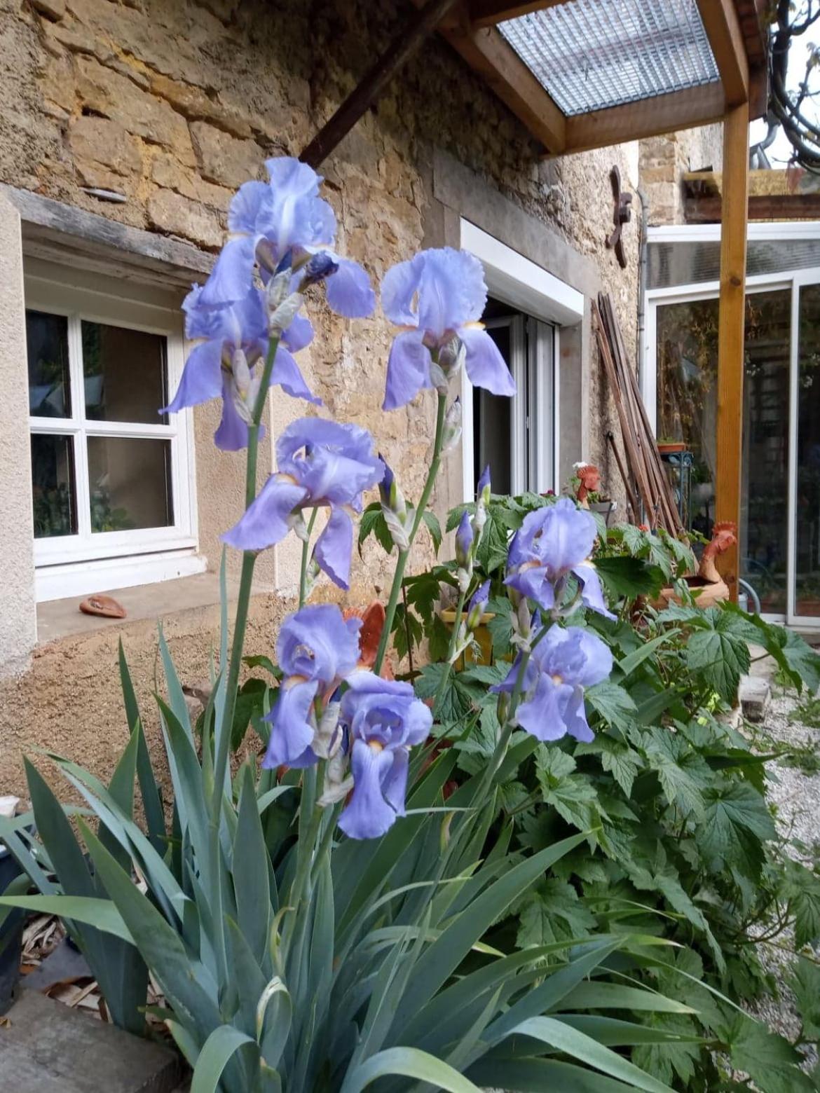 Saint-Marc-sur-Seine Gite Meuble 6 Personnes 2 Etoiles Haute Cote D'Or Proche Des Merveilles Touristiques מראה חיצוני תמונה