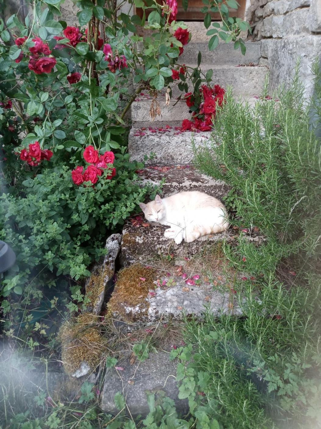 Saint-Marc-sur-Seine Gite Meuble 6 Personnes 2 Etoiles Haute Cote D'Or Proche Des Merveilles Touristiques מראה חיצוני תמונה